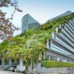 Zelené strechy: Aký majú význam?