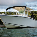 Elegantný motorový čln zakotvený pri pobreží, pripravený na rekreačnú plavbu alebo rybolov.